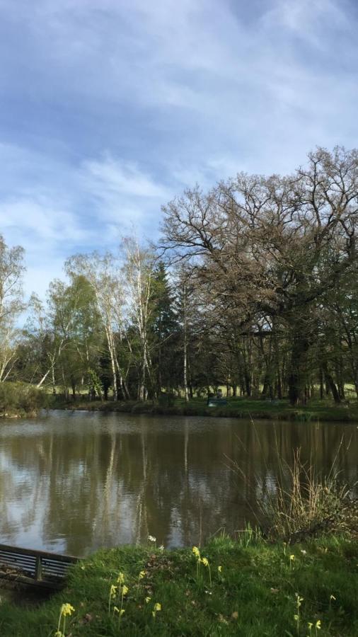 Le Gite Du Petit Renard: A Tranquil Gite With Pool Oradour-Saint-Genest 外观 照片