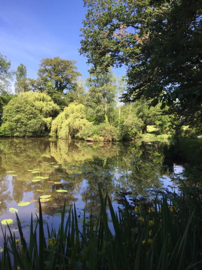 Le Gite Du Petit Renard: A Tranquil Gite With Pool Oradour-Saint-Genest 外观 照片
