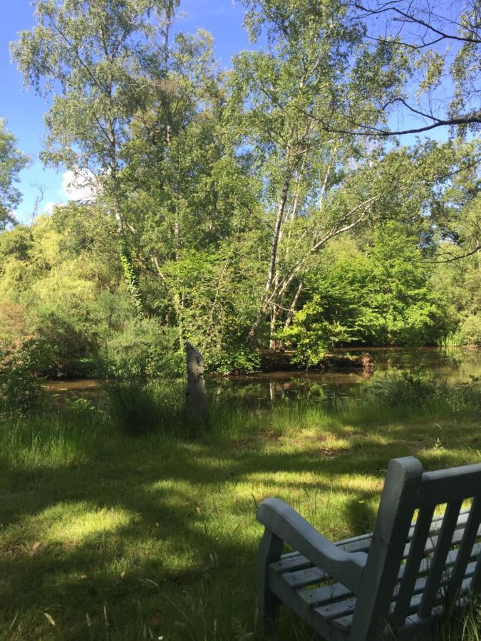 Le Gite Du Petit Renard: A Tranquil Gite With Pool Oradour-Saint-Genest 外观 照片